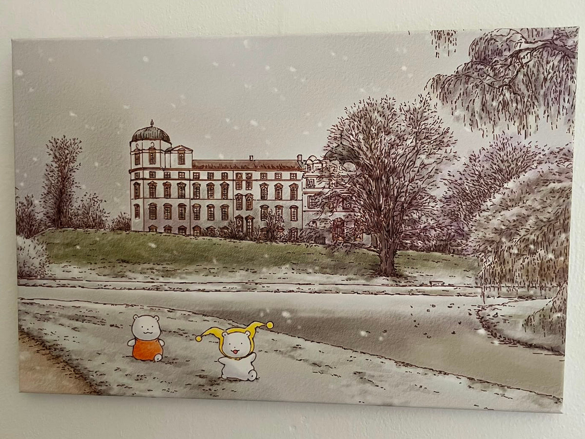 Bild Celle Schloss