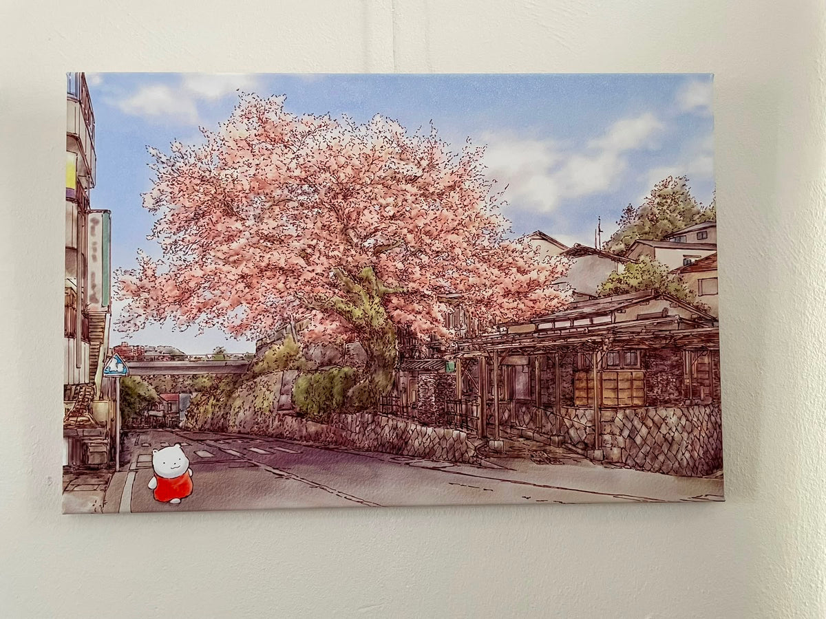 Bild Manazuru Kirschblüte